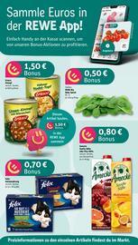 REWE Center Prospekt woche 27 Seite 2