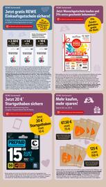 REWE Center Prospekt woche 27 Seite 29