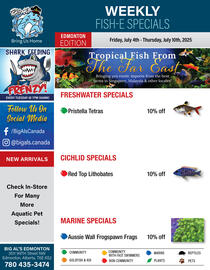 Big Al&#x27;s Pets flyer week 27 Page 1