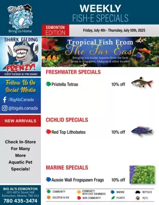 Big Al's Pets flyer (valid until 10-07)