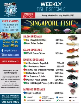 Big Al's Pets flyer (valid until 10-07)