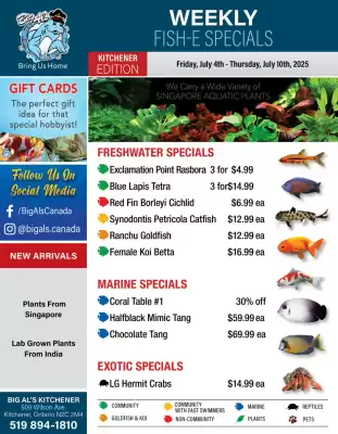 Big Al's Pets flyer (valid until 10-07)