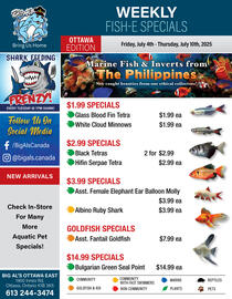 Big Al&#x27;s Pets flyer week 27 Page 1