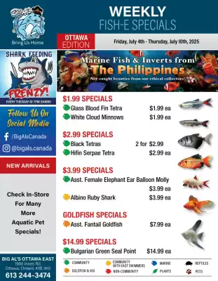 Big Al's Pets flyer (valid until 10-07)