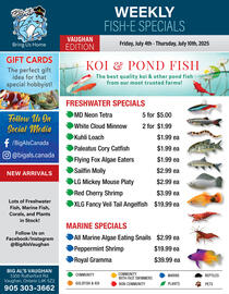 Big Al&#x27;s Pets flyer week 27 Page 1