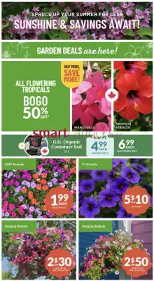 Lakeside Garden Gallery flyer (valid until 9-07)