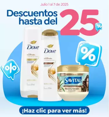 Catálogo Mercaldas (válido hasta 7-07)