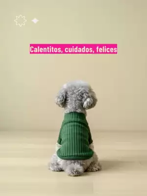Catálogo Casper Pet Store (válido hasta 15-07)