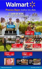 Catálogo Walmart Página 1