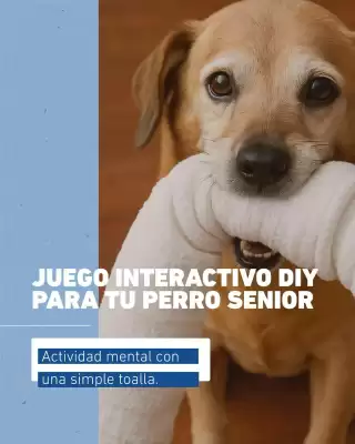 Catálogo Puppis (válido hasta 31-07)