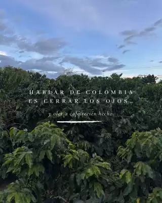 Catálogo HOSSH (válido hasta 31-07)