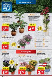 Lidl Flugblatt woche 28 Seite 27