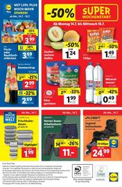 Lidl Flugblatt woche 28 Seite 47
