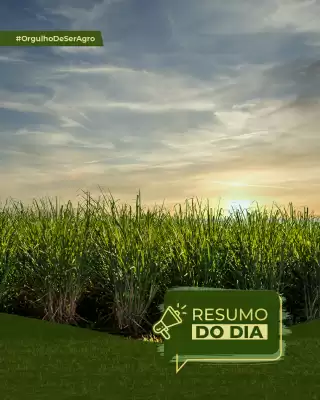 Catálogo Copercana (válido até 5-07)