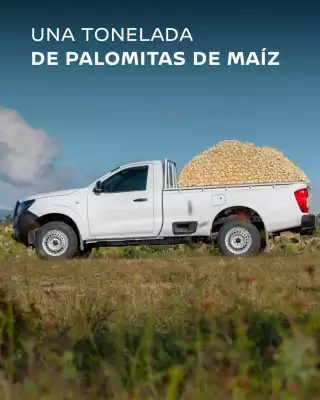 Catálogo Nissan (válido hasta 5-07)