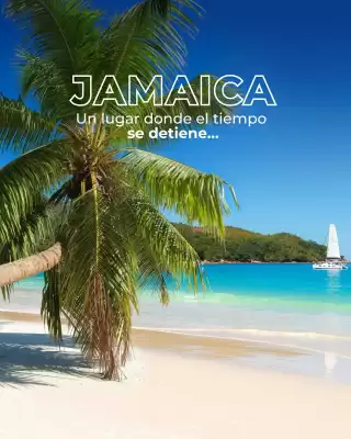 Catálogo Cocha (válido hasta 5-07)