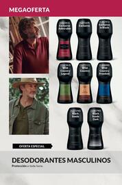 Catálogo AVON Página 175