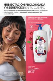 Catálogo AVON Página 7