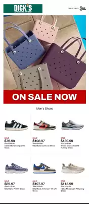 Dick's Sporting Goods Weekly Ad (valid until 8-07)