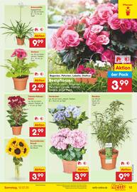 Netto Marken-Discount Prospekt woche 28 Seite 15