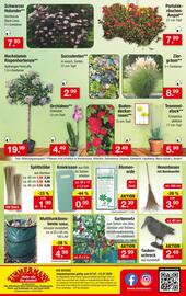 Zimmermann Prospekt woche 28 Seite 10