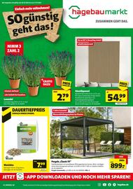 Hagebau Prospekt Seite 1