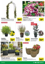 Hagebau Prospekt Seite 3