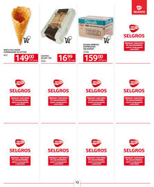 Selgros gazetka Strona 12