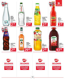 Selgros gazetka Strona 13