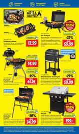 Lidl Prospekt woche 28 Seite 25