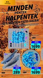 Lidl akciós újság hét 28 Oldal 24