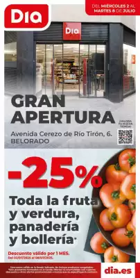 Folleto Dia (válido hasta el 8-07)