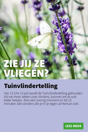 Intratuin folder week 28 Pagina 4