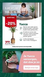 AVEVE folder Pagina 9