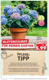 Kaufland DE folder week 28 Pagina 16