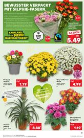 Kaufland DE folder week 28 Pagina 17