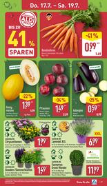 Aldi Nord Prospekt woche 29 Seite 27