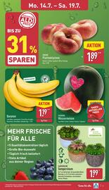 Aldi Nord Prospekt woche 29 Seite 3