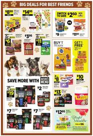 Dollar General Weekly Ad week 28 Page 15
