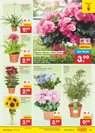 Netto Marken-Discount DE folder week 27 Pagina 15