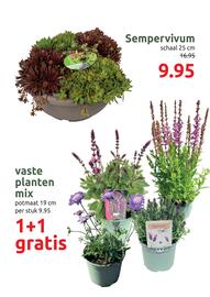 Deka Tuin folder week 28 Pagina 5
