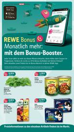 nahkauf Prospekt woche 28 Seite 4