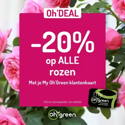 Oh Green folder (geldig t/m 4-08)