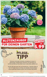 Kaufland Prospekt woche 28 Seite 16