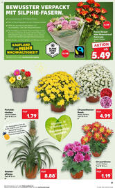 Kaufland Prospekt woche 28 Seite 17