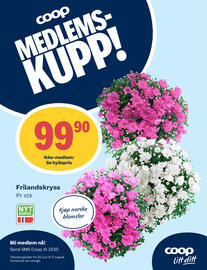 Coop Prix Kundeavis uke 28 Side 11