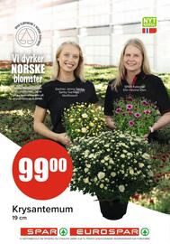 Eurospar Kundeavis uke 28 Side 15