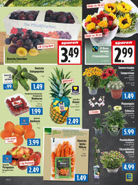 EDEKA Hahner Prospekt woche 28 Seite 7