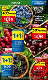 Lidl gazetka Strona 15