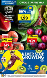 Lidl gazetka Strona 16